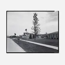 Nicholas Nixon, Parrot Street, Troy, Michigan, 1976, vintage gelatin silver print