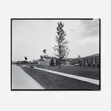 Nicholas Nixon, Parrot Street, Troy, Michigan, 1976, vintage gelatin silver print