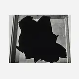 Brett Weston, Broken Window