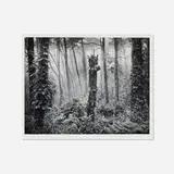 Wynn Bullock, Pebble Beach Forest #3, 1969, vintage gelatin silver print