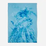 Edward S. Curtis, Kwakiutl, c. 1915, vintage cyanotype