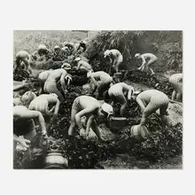 Seaweed Harvest by Yoshiyuki Iwase, gelatin silver print, sold Jul 2025