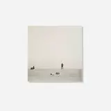 Harry Callahan, Untitled, c. 1954, gelatin silver print