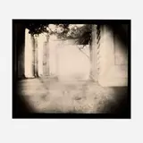 Sally Mann, Untitled (from the Elton John AIDS Foundation Photography Portfolio I), 1998, gelatin silver print