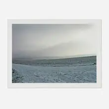 Odenwald (from the Elton John AIDS Foundation Photography Portfolio I) by Thomas Struth, 2006, C-print, sold Jul 2025