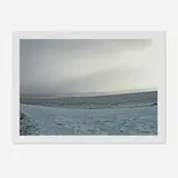 Thomas Struth, Odenwald (from the Elton John AIDS Foundation Photography Portfolio I), 2006, C-print
