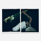María Magdalena Campos-Pons, The Calling II (diptych), 2004, large-format Polaroid Polacolor prints