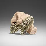 Mary Alison Lucas, Grume, 2014, stoneware, finish nails, casting slip