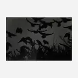 Masahisa Fukase, Kanazawa (from the Solitude of Ravens portfolio), gelatin silver print