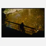 Nan Goldin, Self-Portrait on Bridge at Golden River at Silver Hill, 1998, dye-bleach print mounted to Sintra