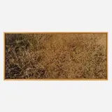 Richard Misrach, Untitled