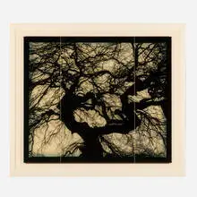 Doug and Mike Starn, Structure of Thought #15, 2001-04, digital inkjet print on Thai mulberry, gampi and tissue papers with wax, encaustic and varnish in artist's frame