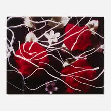 Roses & Bagties by Jimmy De Sana, 1986, Cibachrome print, sold Jan 2026