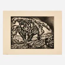 Howard Cook, Desert Tree, etching and aquatint