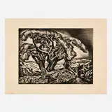 Howard Cook, Desert Tree, etching and aquatint
