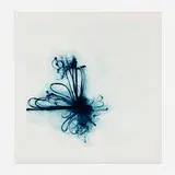 Jill Moser, Acrobat, 2009, screenprint in colors