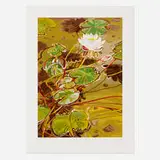 Janet Fish, Lotus, 2006, screenprint in colors