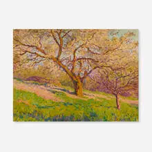 Achille Mohrien, Flowering Trees, watercolor on paper