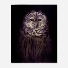 Ivette Zighelboim, Untitled (Purple Owl), 2006, oil on canvas