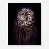 Ivette Zighelboim, Untitled (Purple Owl), 2006, oil on canvas