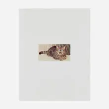 Dave Muller, Untitled, 2001, inkjet print, googly eyes
