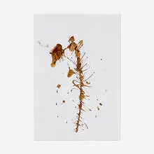 Untitled by Oscar Murillo, 2016, oil and oil stick on paper, sold May 2025