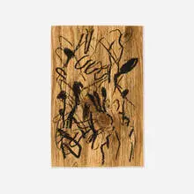 Carroll Dunham, Untitled, 1982, crayon on contact paper
