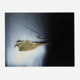 Enrico Donati, Untitled, 1955, enamel on Masonite