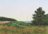 Barbara Ernst Prey, Hewitt Island, Watercolor