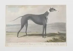 Samuel Alken, Piper, Etching and aquatint with hand coloring