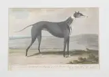 Samuel Alken, Piper, Etching and aquatint with hand coloring