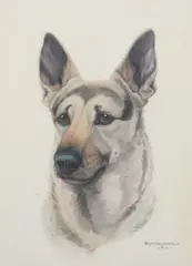 Billy Dohlman Chestnut, German Shepherd, Watercolor on paper