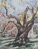 Angeline A. Christaldi, Tree Trunk, Watercolor