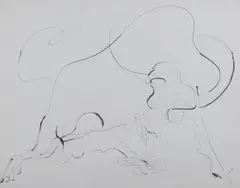 Pietro Lazzari, Bull, Pen and ink on paper