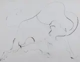 Pietro Lazzari, Bull, Pen and ink on paper