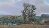 Tree at St by William Woodward, Oil on canvas, offered Nov 2007