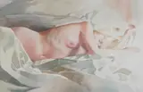 David Drummond, Nude with Rumpled Sheet, Watercolor