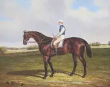 B. Kinbg, Jockey Riding Horse, Oil on board