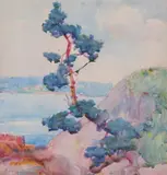 Lesley Jackson, Wind Twisted Pine, Watercolor on paper