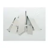 Kurt Larisch, White Shades, Serigrafía 6 /100