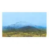 Luis Nishizawa, Untitled, Grabado al aguatinta 14 / 75