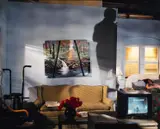 Larry Sultan, Auktion 419, Los 408