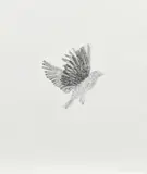Kiki Smith, Bird, 1998, Lithografie mit Appliaktion auf Pergamin