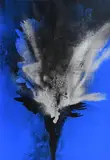 Otto Piene, Ohne Titel, Farbserigrafie auf Karton