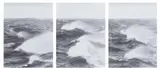 Jochen Lempert, Auktion 419, Los 390, 2006, Drei Silbergelatineabzüge