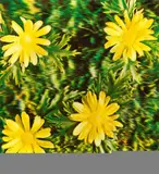 Auktion 432, Los 891 by Andy Warhol, 1970, C-Print mit Cowles Communications Xograph 3-D Division auf Karton, sold Jun 2019