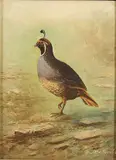 Quail in Landscape and Mallard Duck - a pair by Richard Detreville, circa 1910, Oil on board, offered May 2011