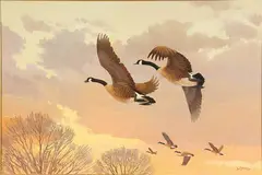 Lee Leblanc, Geese in Flight, Oil on canvas