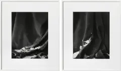 James Welling, Two works: (i) Waterfall ; (ii) Island, 1981, each gelatin silver print, in artist's frame