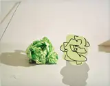 Lucas Blalock, Two lettuces, 2014, archival inkjet print, mounted on aluminium